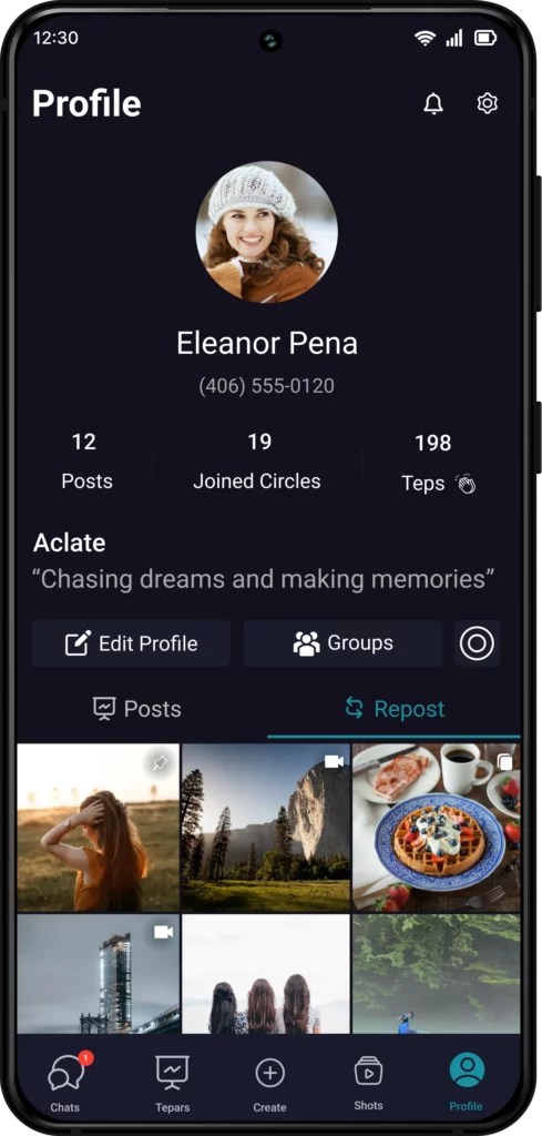 Introducing the Profile on Tepnot: Your Personal Hub